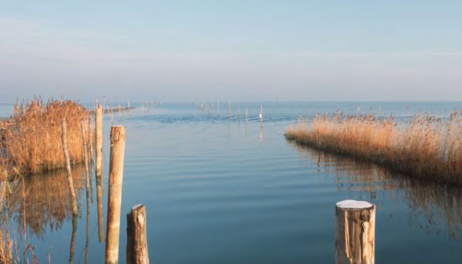 Bild vom Neusiedlersee (c) Burgenland